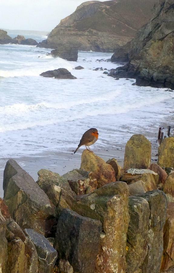 Willa Wrens Nook St Agnes  Zewnętrze zdjęcie